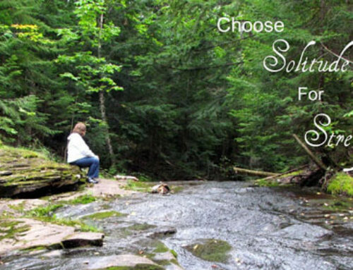 Choosing Solitude