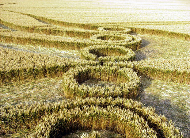 Crop-Circle-1-Awaken