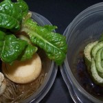 vegetables-herbs-you-can-eat-once-and-regrow-forever-awaken