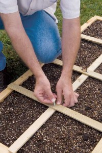 Man-Building-Garden-Bed Awaken