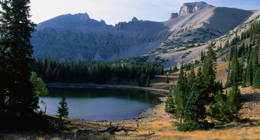 Great Basin National Park, Nevada-Awaken