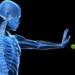 The-Mind-Body-Connection-Awaken