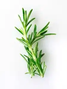 -Rosemary-Herbs-awaken