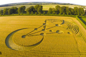 Crop-Circle-Awaken
