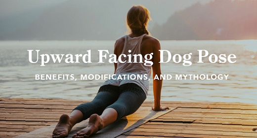 Upward Facing Dog Pose Benefits Modifications And Mythology Awaken