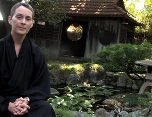 Awaken Interviews Zen Buddhist Priest Karen Maezen Miller Pt 1