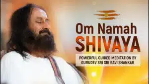 Sri Sri Ravishankar-awaken
