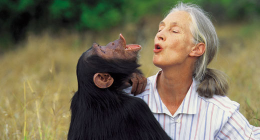 Jane-Goodall-awaken