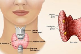 thyroid-awaken