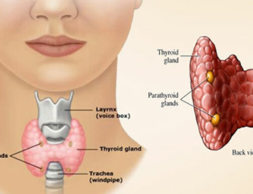 8 Signs You May Need Your Thyroid Checked