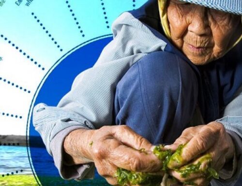 Blue Zones: Lessons for Living Longer From The People Who’ve Lived Yhe Longest