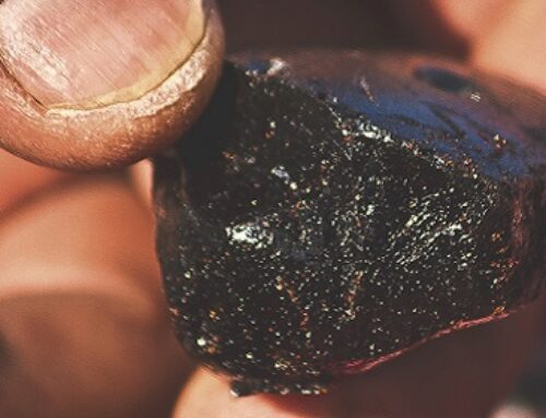 Shilajit: The Ancient Yogic Superfood That Rebuilds Your Body