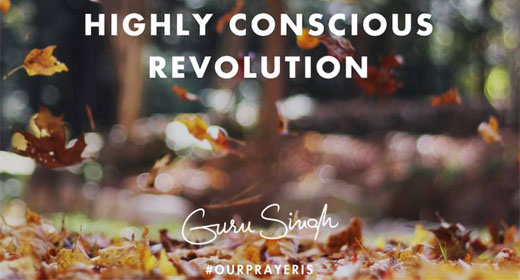 Highly-Conscious-Revolution-awaken