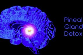 pineal-gland-detox-awaken