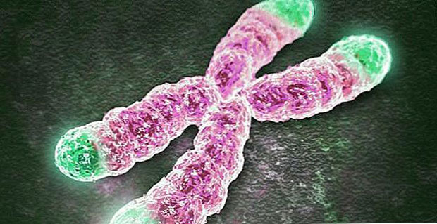 lengthen-telomeres-awaken