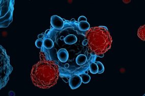 3D-immune-system-t-cells-health-shutterstock-awaken