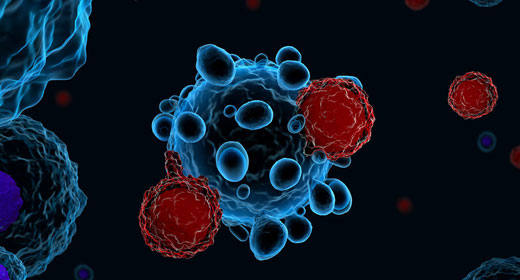 3D-immune-system-t-cells-health-shutterstock-awaken