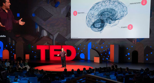 The-First-Official-TED-Talk-About-Psychedelics-awaken