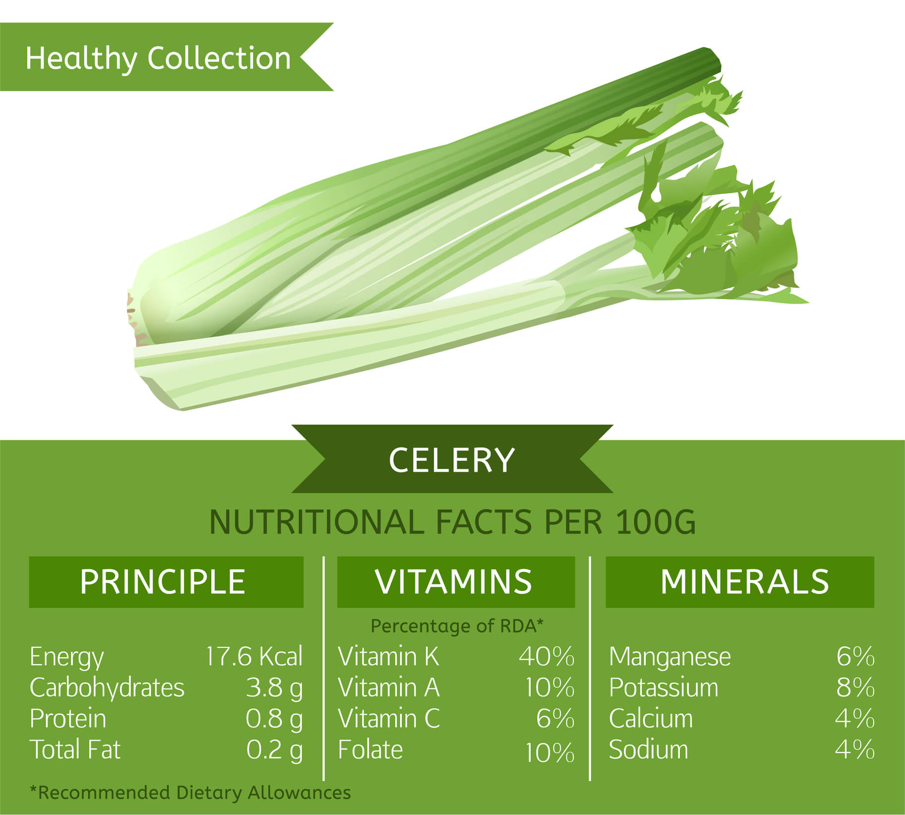 celery nutrition facts