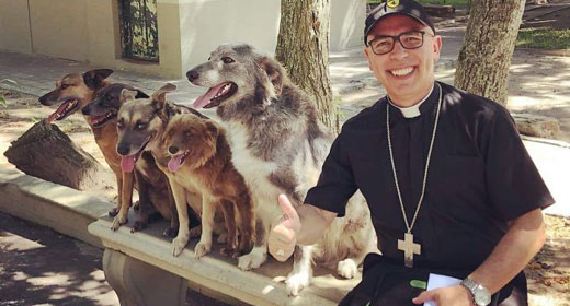 Brazilian-priest-welcomes-stray-dogs-inside-church-to-be-adopted-awaken