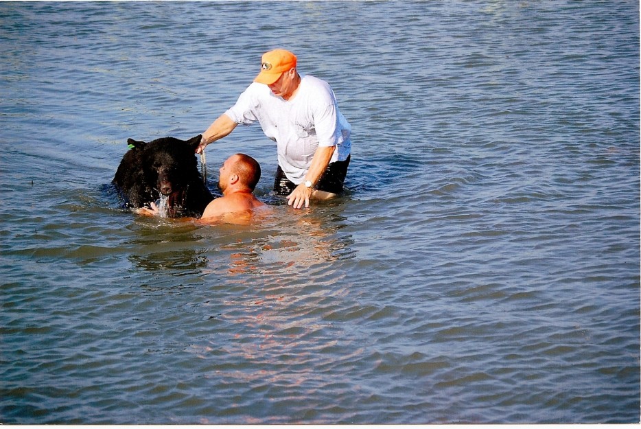 Brave Man Saving Drowning 400-lb Black Bear Is Possibly One Of The Greatest Rescue Stories Ever