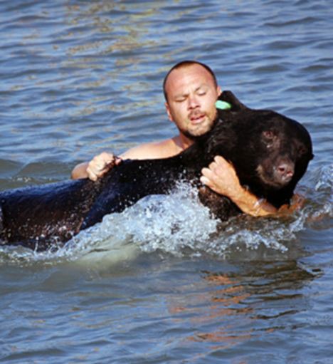 Brave Man Saving Drowning 400-lb Black Bear Is Possibly One Of The Greatest Rescue Stories Ever