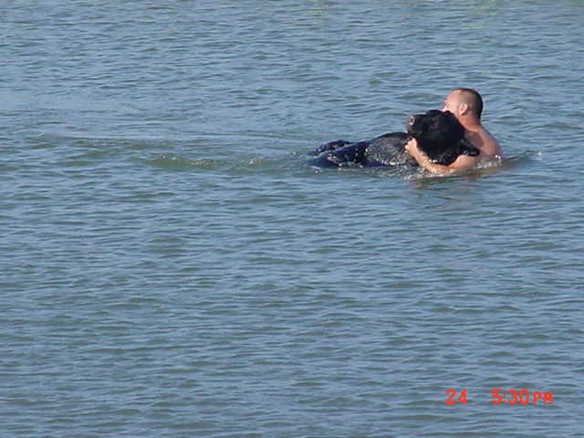 Brave Man Saving Drowning 400-lb Black Bear Is Possibly One Of The Greatest Rescue Stories Ever