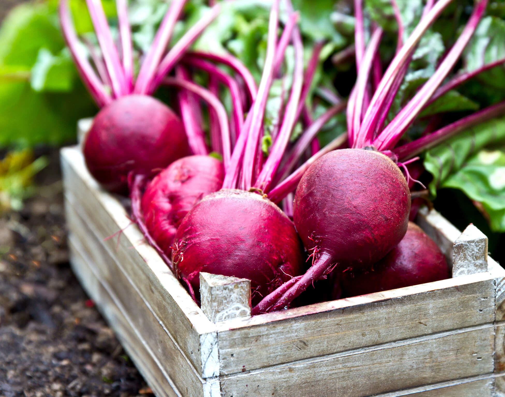 Benefits of beets: 10 reasons to eat more beets