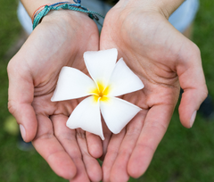 Embracing Hoʻoponopono May Lead To Deeper Energetic Healing
