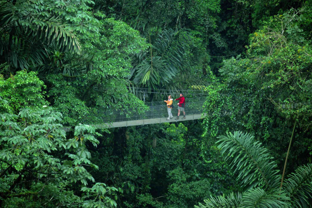 Hanging bridges in La Tortuna-awaken