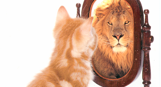 Cat-mirror-lion-awaken