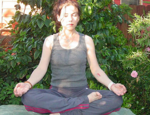 What Is Meditation?  – Donna Quesada