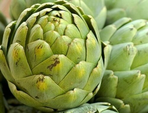 Artichokes: Nutrition, Benefits, & How To Cook And Eat Them