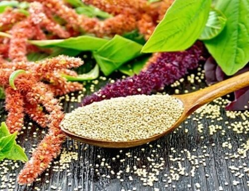 What is Amaranth? History, Benefits, and Uses