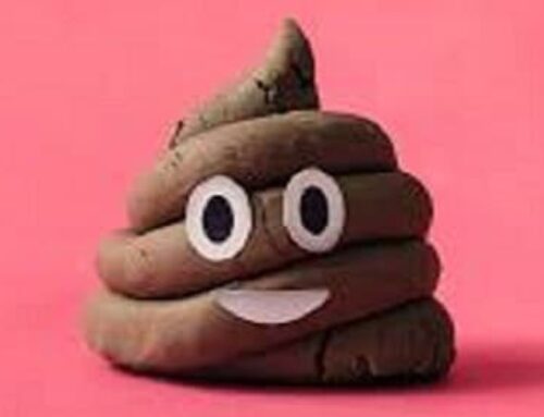 What Is Your Poop Telling You? A Guide to Healthy Bowel Habits