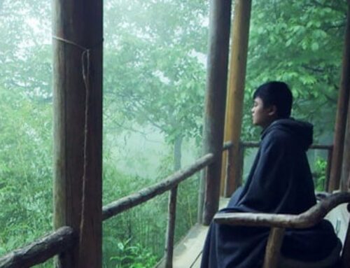Summoning the Recluse: Chinese Millennials Take Up the Hermit’s Life