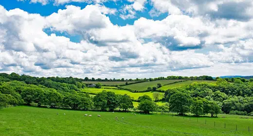 The-Cornish-farm-that-plans-to-last-1,000-years-awaken