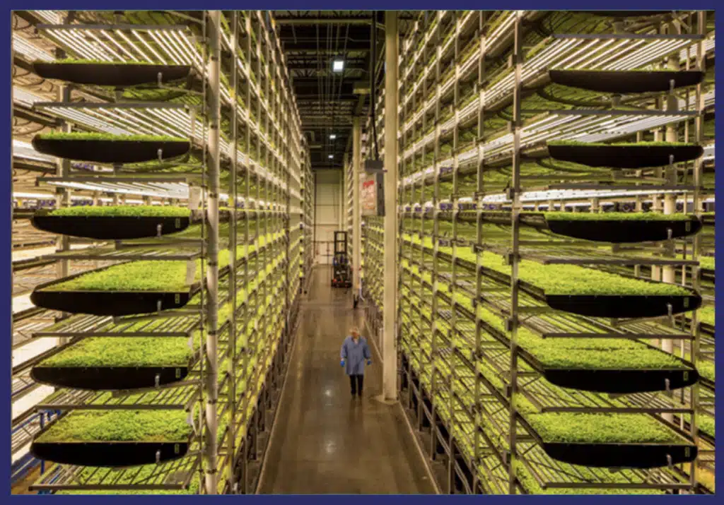 vertical farming-AWAKEN