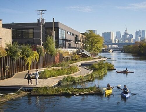 How Floating Wetlands Are Helping to Clean Up Urban Waters