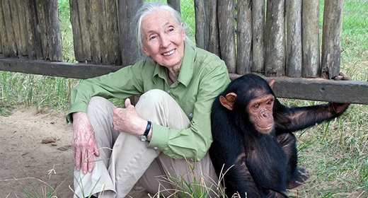 Jane Goodall-awaken