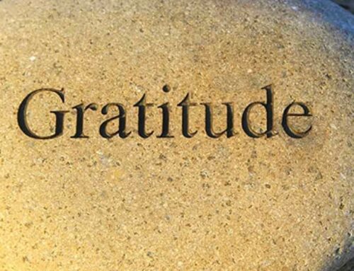 Practicing Gratitude on Thanksgiving is a Powerful Action for Health & Happiness