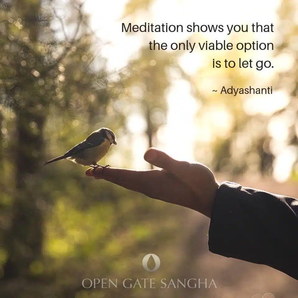 Adyashanti Quote-awaken