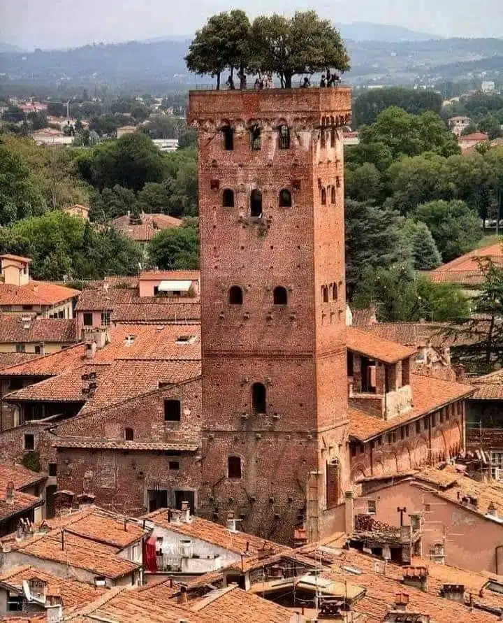 The Guinigi tower is one of the few remaining towers in the center of the city of Lucca, in Tuscany. -awaken