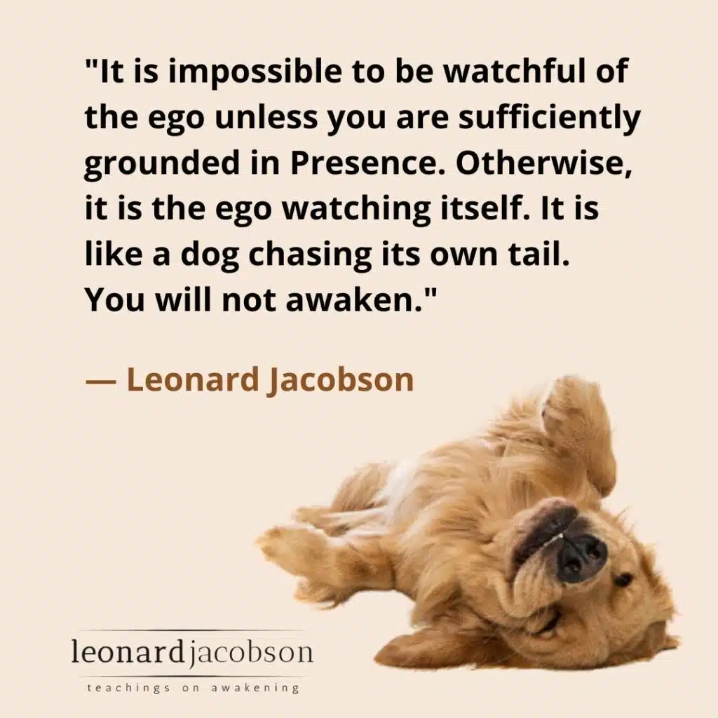 Quote Leonard-awaken