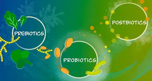 Prebiotics, Probiotics, and Postbiotics-awaken