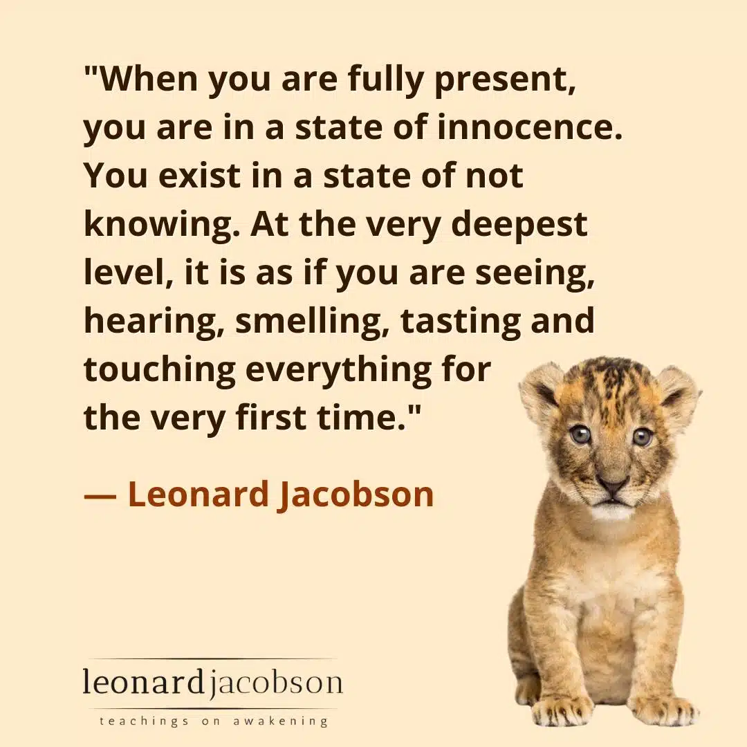 Quote Leonard 01-awaken