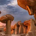 Wilderness in New Mexico -awaken