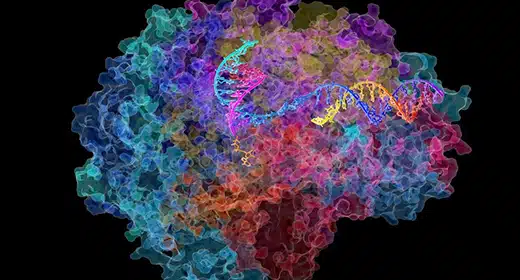 RNA-polymerase-DNA-transcription-aging-longevity-awaken