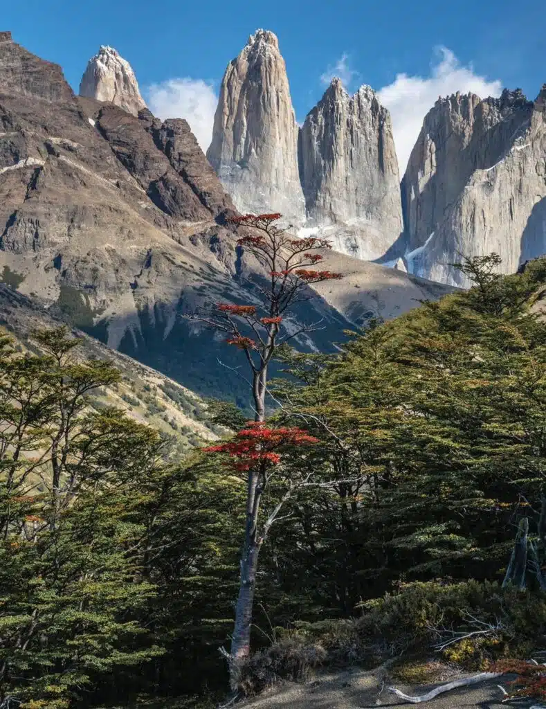  Torres del Paine, Chile.-awaken