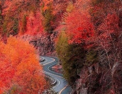 Our Sacred Planet Mother Earth in all of it’s Amazing Beauty and the Quote of the Day 217